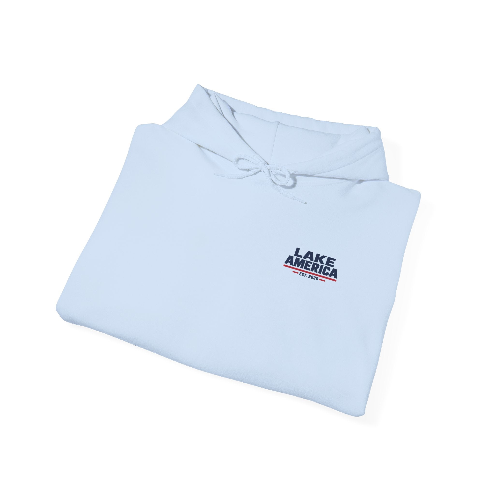 Lake America Vintage Flag Hoodie – Light Back Graphic