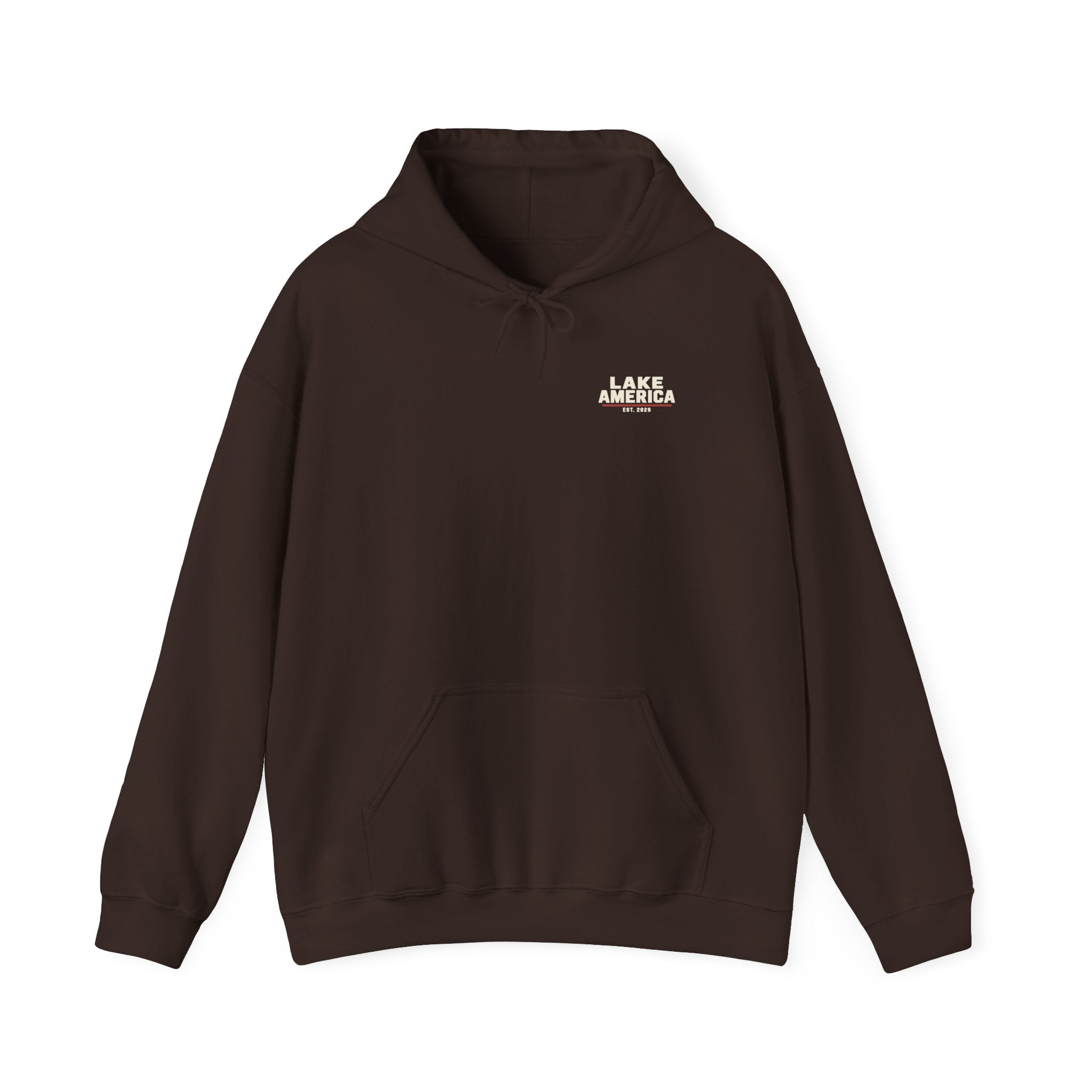 Lake America Vintage Flag Hoodie – Dark Back Graphic