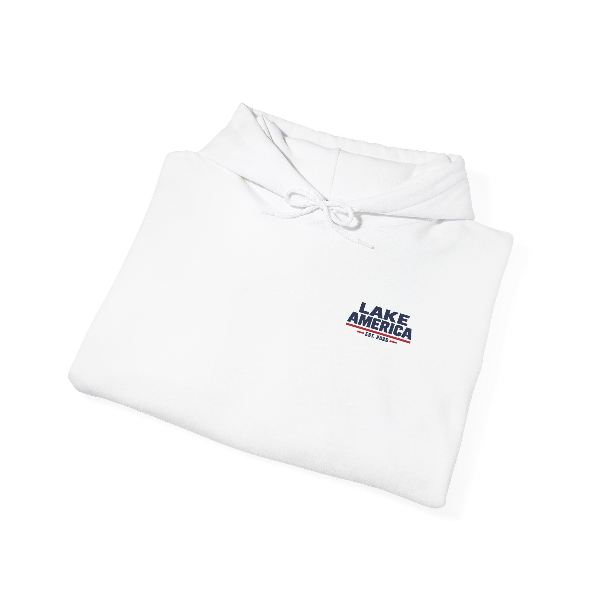 Lake America Vintage Flag Hoodie – Light Back Graphic