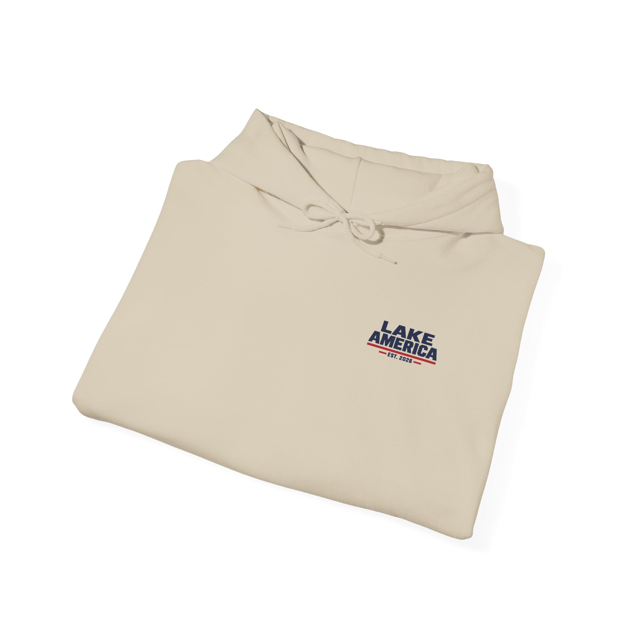 Lake America Vintage Flag Hoodie – Light Back Graphic